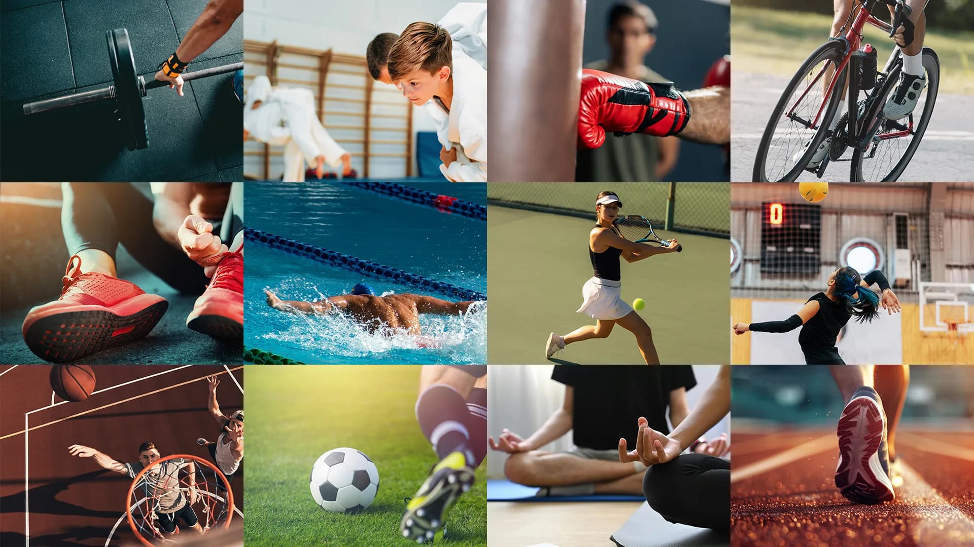 BlackForest Padel GmbH